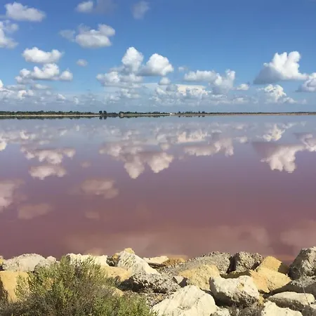 דירה Le D'auguste- Coeur De Nimes-chaleureux-emplacement Ideal נים